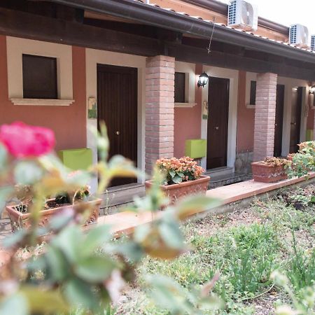 Il Sorgituro - Agriturismo Postiglione Luaran gambar