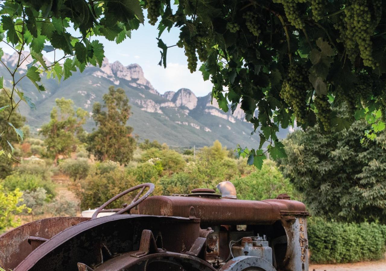 Il Sorgituro - Agriturismo Postiglione Luaran gambar