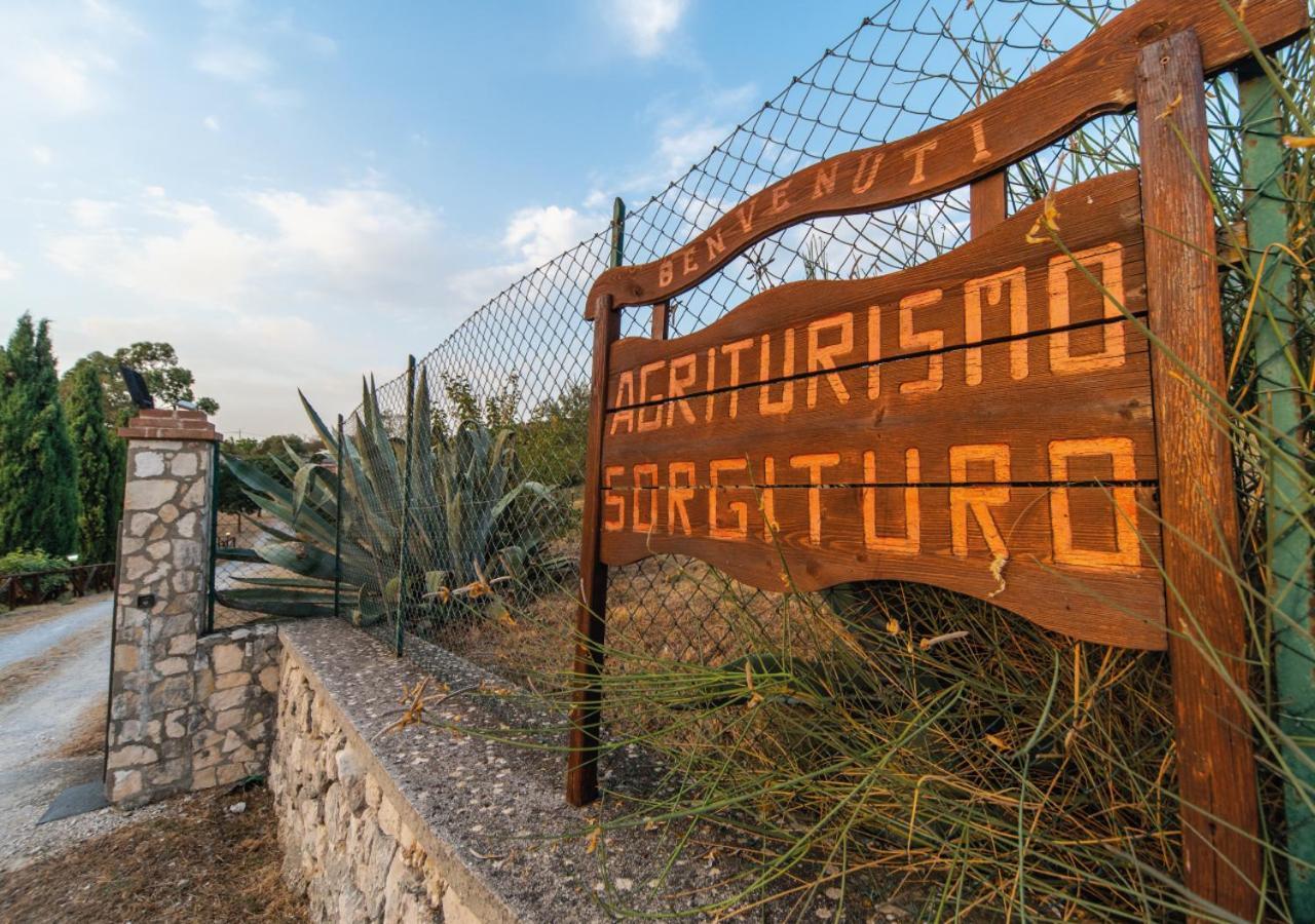 Il Sorgituro - Agriturismo Postiglione Luaran gambar