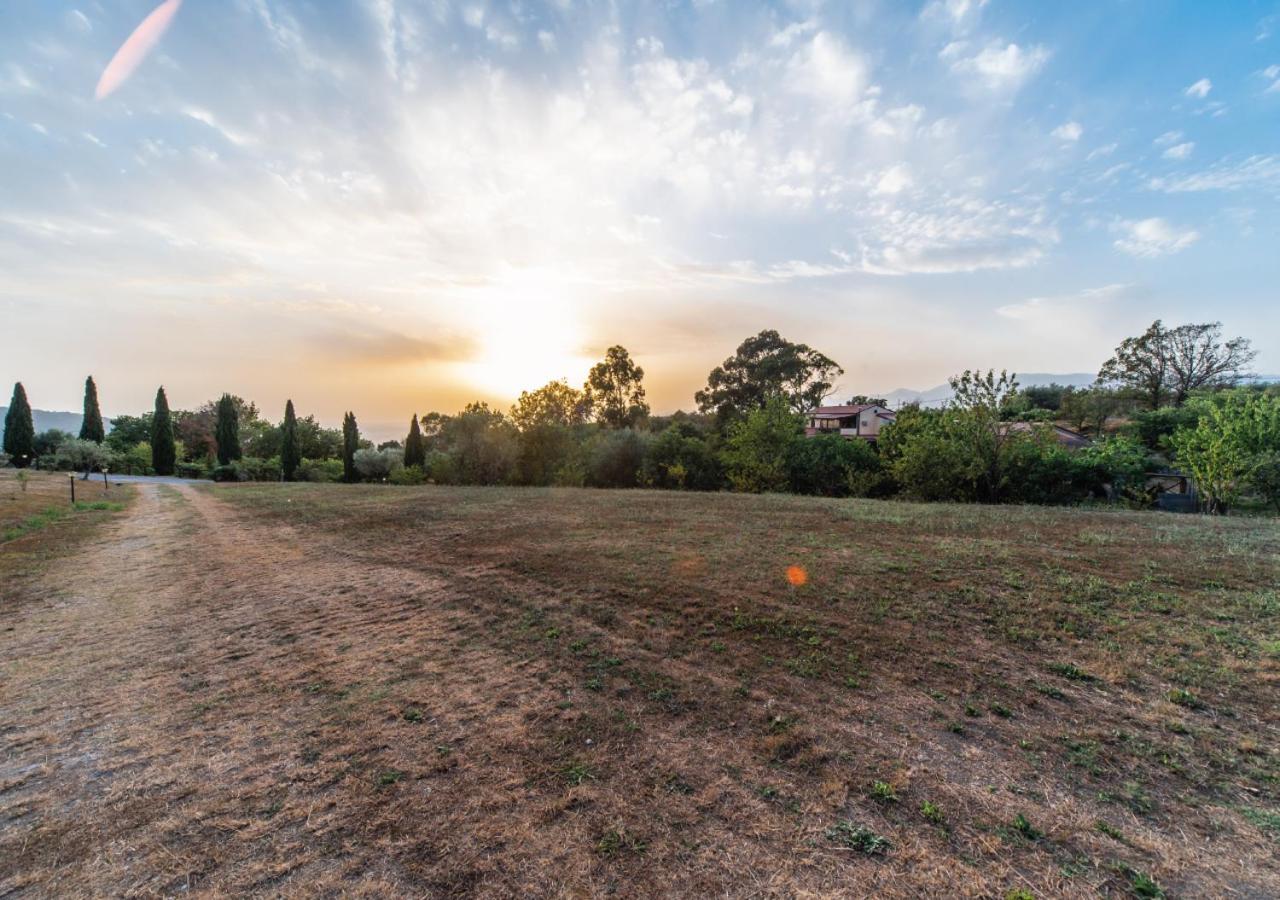 Il Sorgituro - Agriturismo Postiglione Luaran gambar